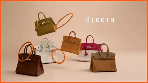 hermes bieringen|Hermes birkin bag.